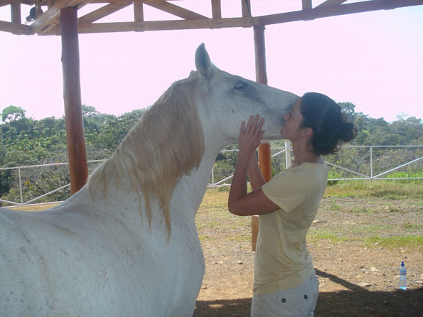 equine psychotherapy